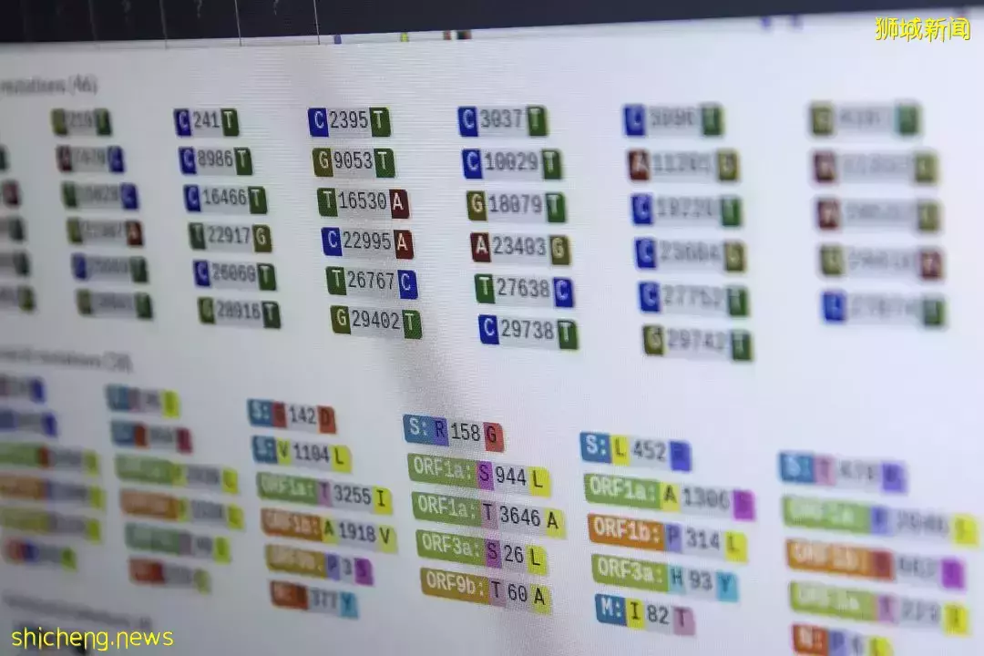 奥密克戎可当感冒?研究揭死亡率比流感高多少