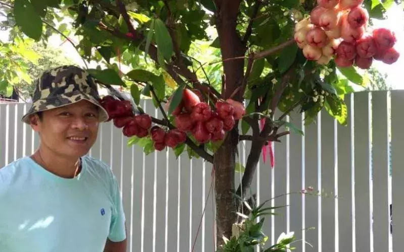 李南星IG被黑客盗名借钱