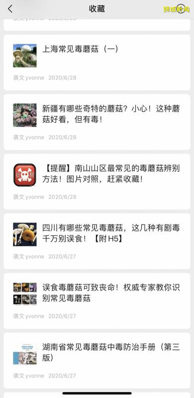 新加坡大雨一直下,媽媽這個是啥蘑菇?能吃嗎?額