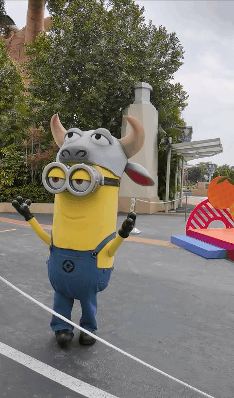 過年必玩!海洋館尋金元寶,環球影城12生肖小黃人激萌拜年