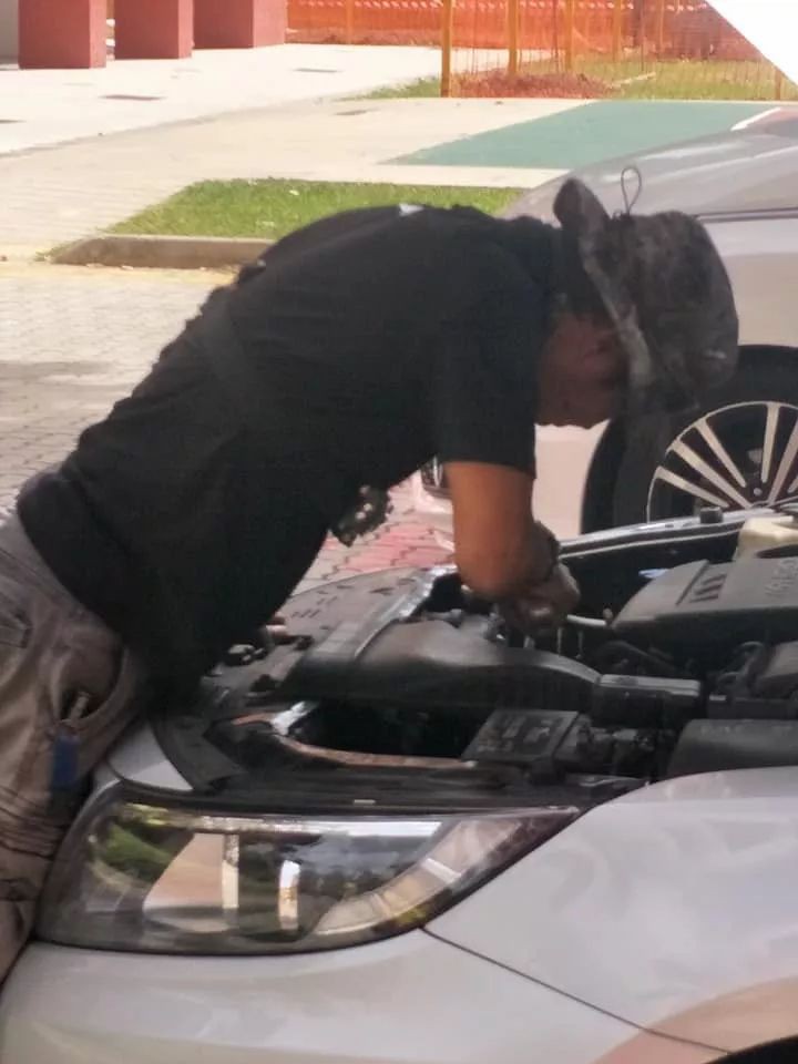 引擎盖内惊现巨蟒，新加坡车主拆车只为送走它……