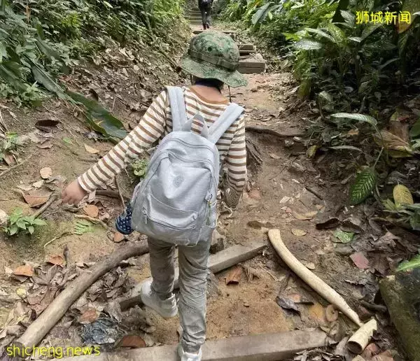 叢林探險、生存挑戰！新加坡戶外學校的6大假期營超級寶藏