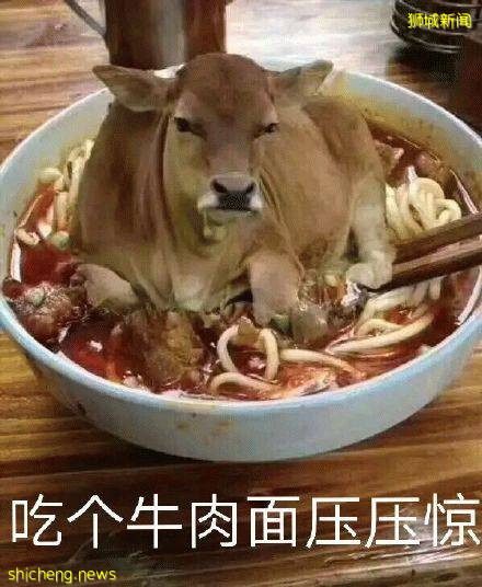 新加坡連續漲價10個月!網友:吃不起菜,買不起房