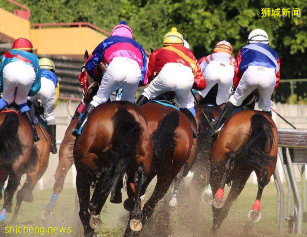 這樣的新加坡真是待不下！去！了