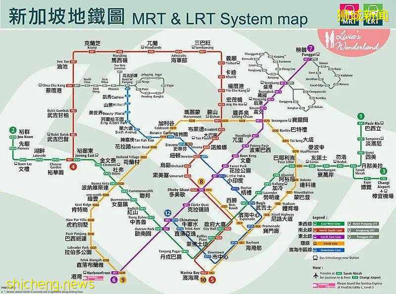 新加坡留學保姆級攻略,你一定要收藏好
