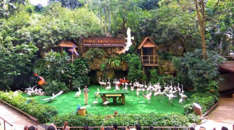 裕廊飞禽园推出半价票促销!年底前有效!让我们愉快地去看鸟吧