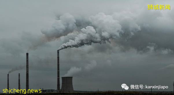 淡马锡控股、DBS等四巨头联盟，在新加坡成立全球碳交易所