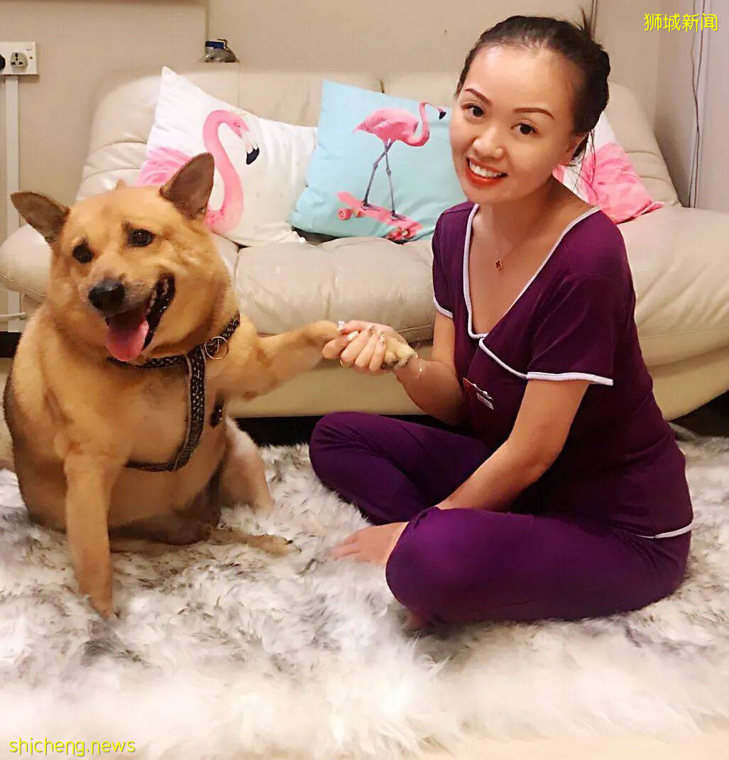 “我最亲爱的四喜走了,带走了我在新加坡16年的青春和回忆...”