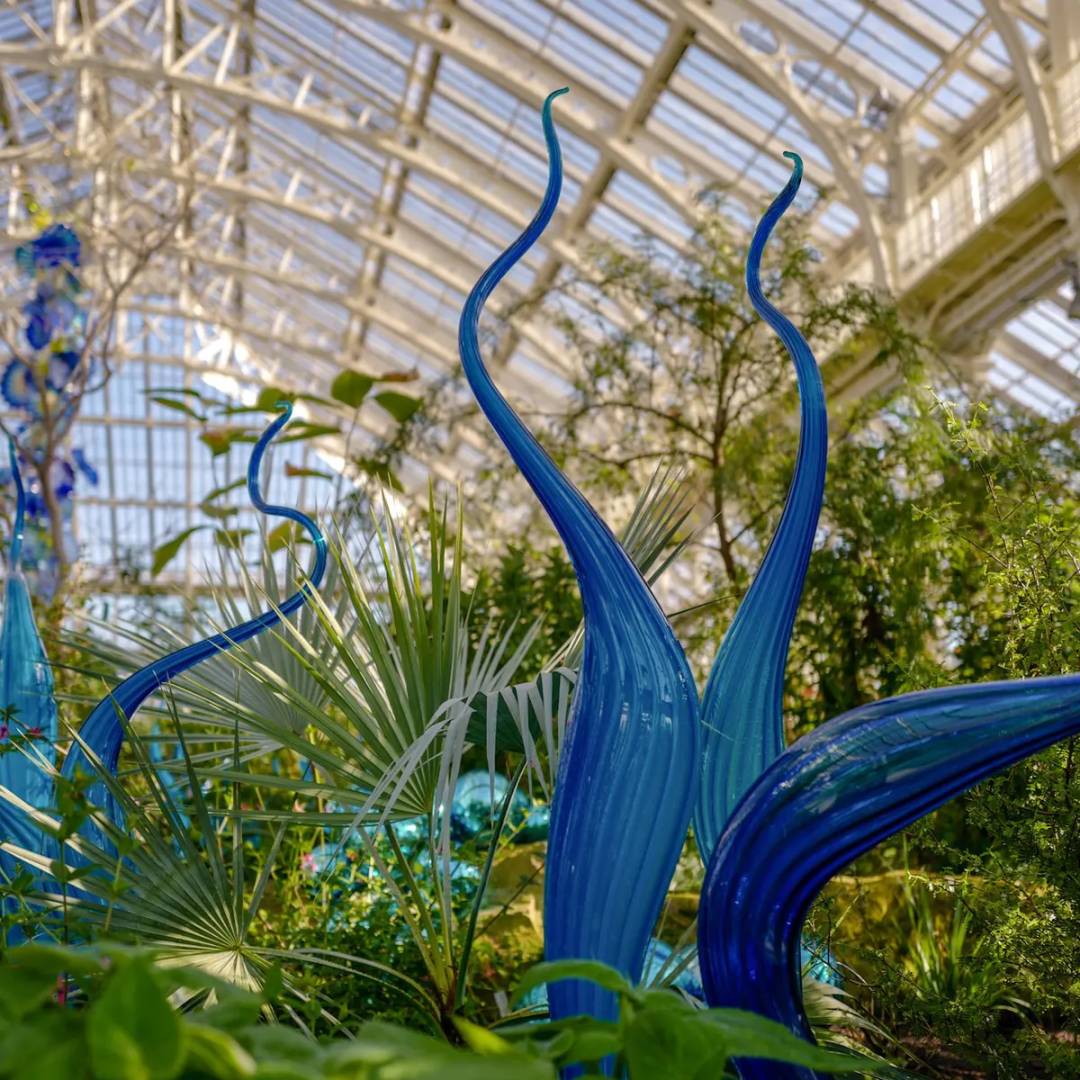 在美國、日本、法國都超火的玻璃花園搬來新加坡啦