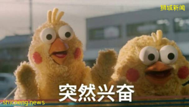 昨天!新币兑人民币暴跌至一年新低!这些品牌纷纷关门,新加坡经济危机要来了么