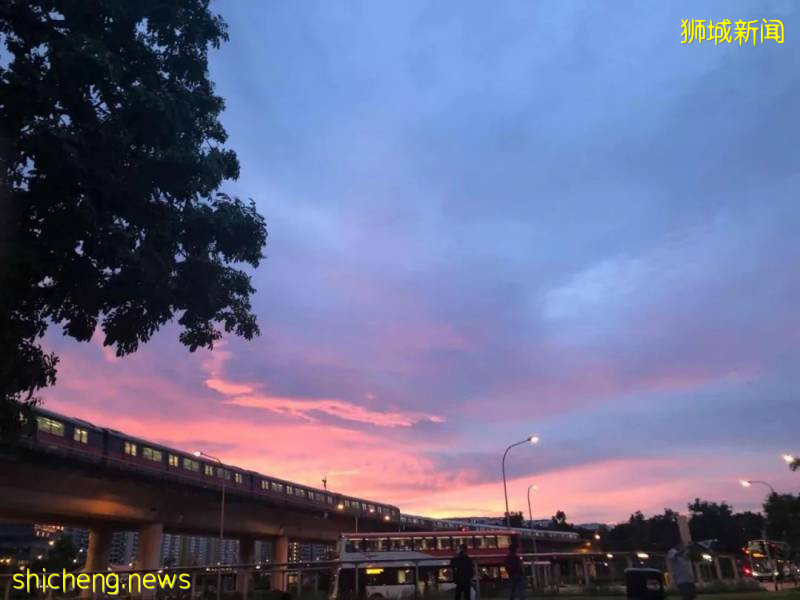 刷屏!新加坡昨天出现绝美彩虹,副总理也忍不住转发!