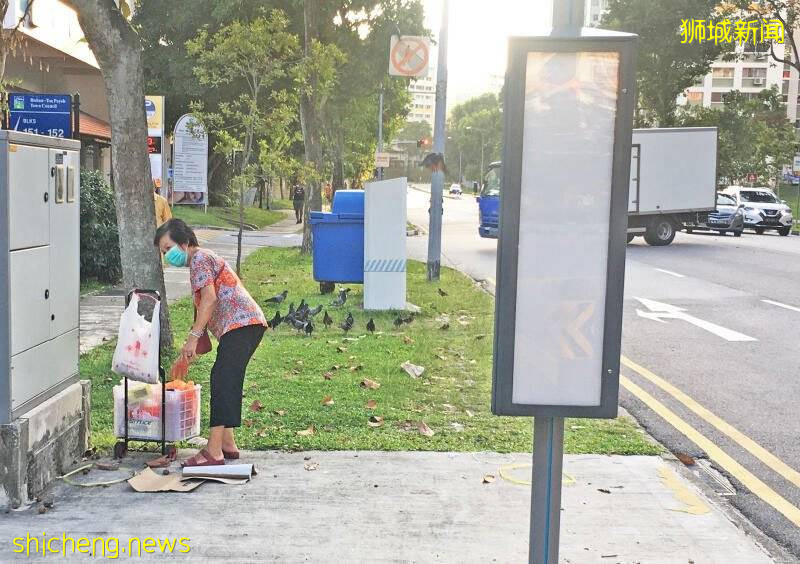 草地喂猫鸟被怼不卫生 组屋阿嬷：我都没事