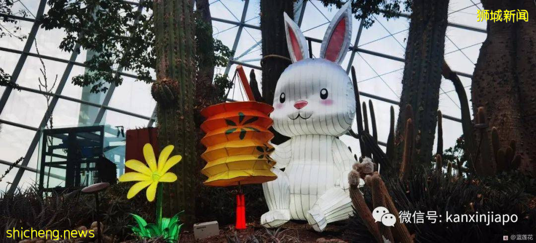 新加坡親子好去處！濱海灣～花穹～雲霧森林～空中步道半日遊