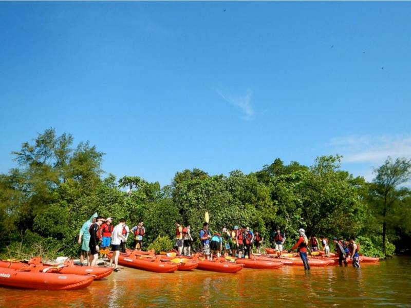 新加坡隱藏玩法大揭秘!遠離城市喧囂,乘皮劃艇穿越原始紅樹林