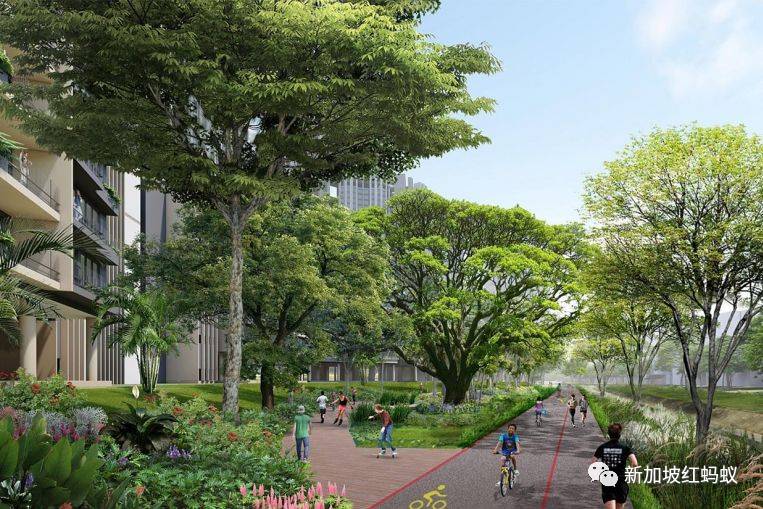 生活在新加坡倍感幸福的原因,原来还真不少