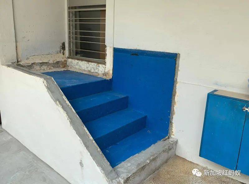 一向以嚴刑峻法爲豪的新加坡，是不是越來越“仁慈”了