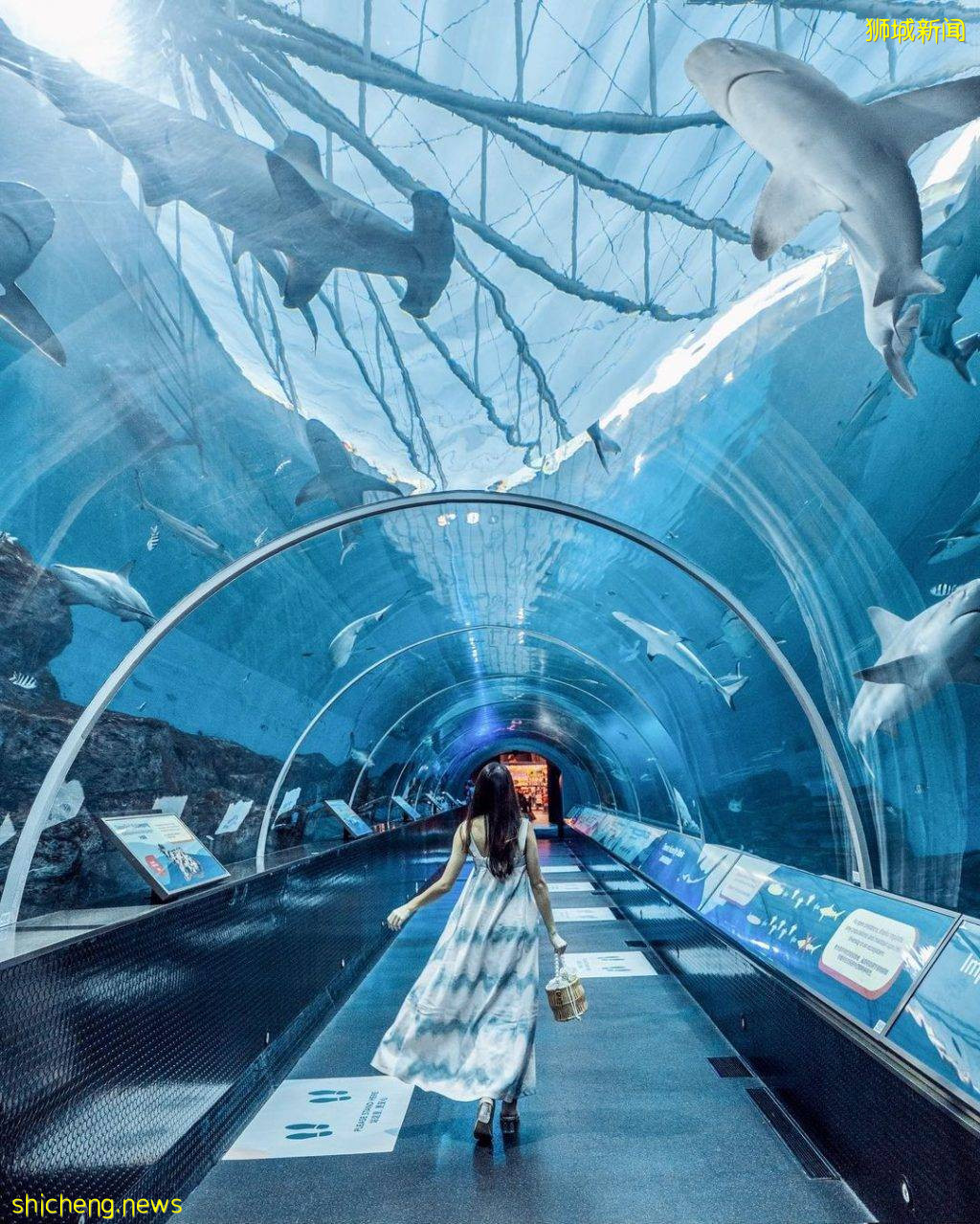 攻略收好、出發開啓親近動物之旅🦩從白天玩到晚上、10大景點近距離接觸小動物