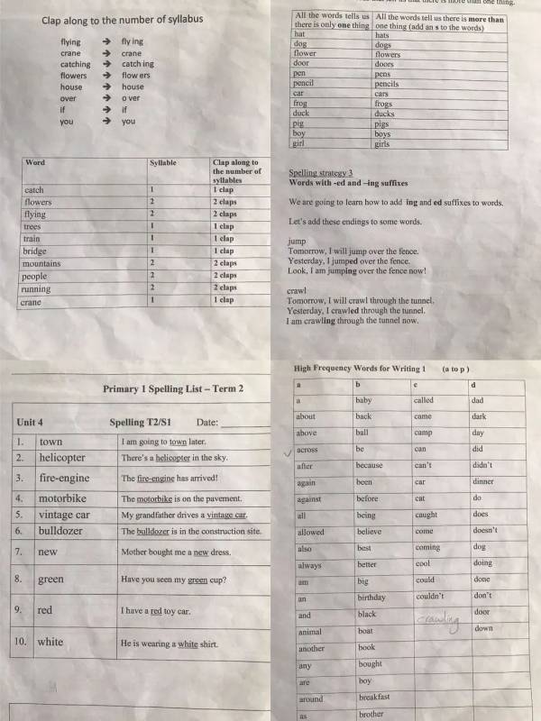 史上最全最新，新加坡小一學什麽