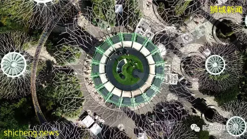 新加坡是全球太阳能密度最高的城市之一 这些位置竟有光伏板