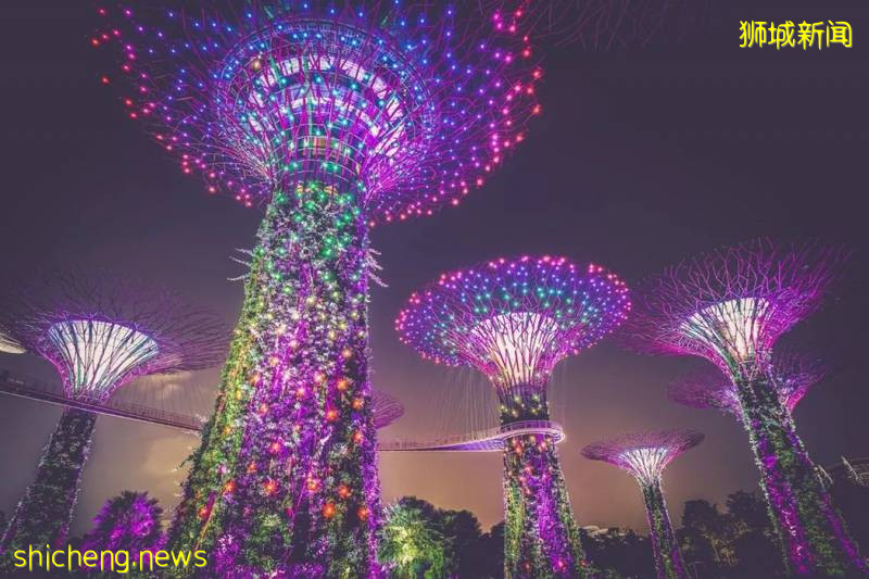 免費帶你夜遊新加坡!