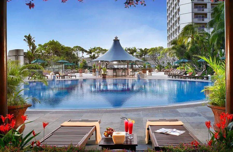 新加坡河川動物園有豪華帳篷過夜啦!本周最新活動彙總