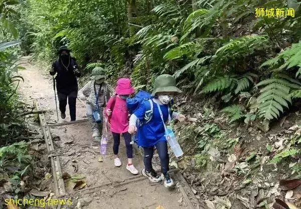 叢林探險、生存挑戰！新加坡戶外學校的6大假期營超級寶藏