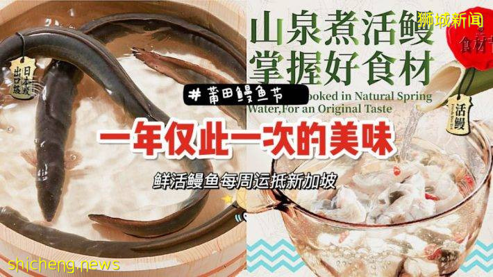 莆田鳗鱼美食节！鲜活鳗鱼限时供应，赶紧来尝鲜
