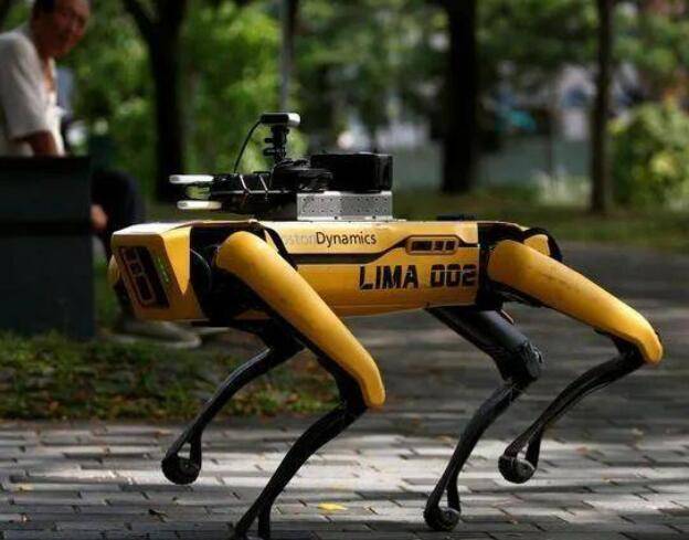 新加坡最贵疫情防控员又来圈粉,世界首富的宠物就是牛