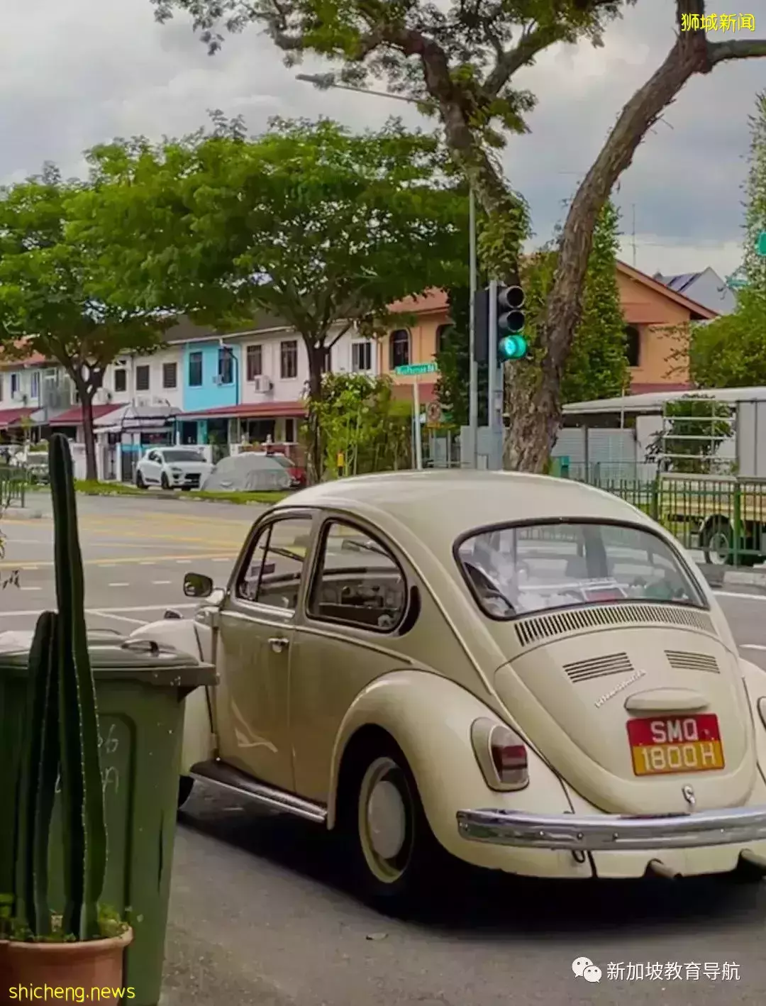 中、美、新三国鼎立哪家强?留学生们用亲身经历告诉你~(一)