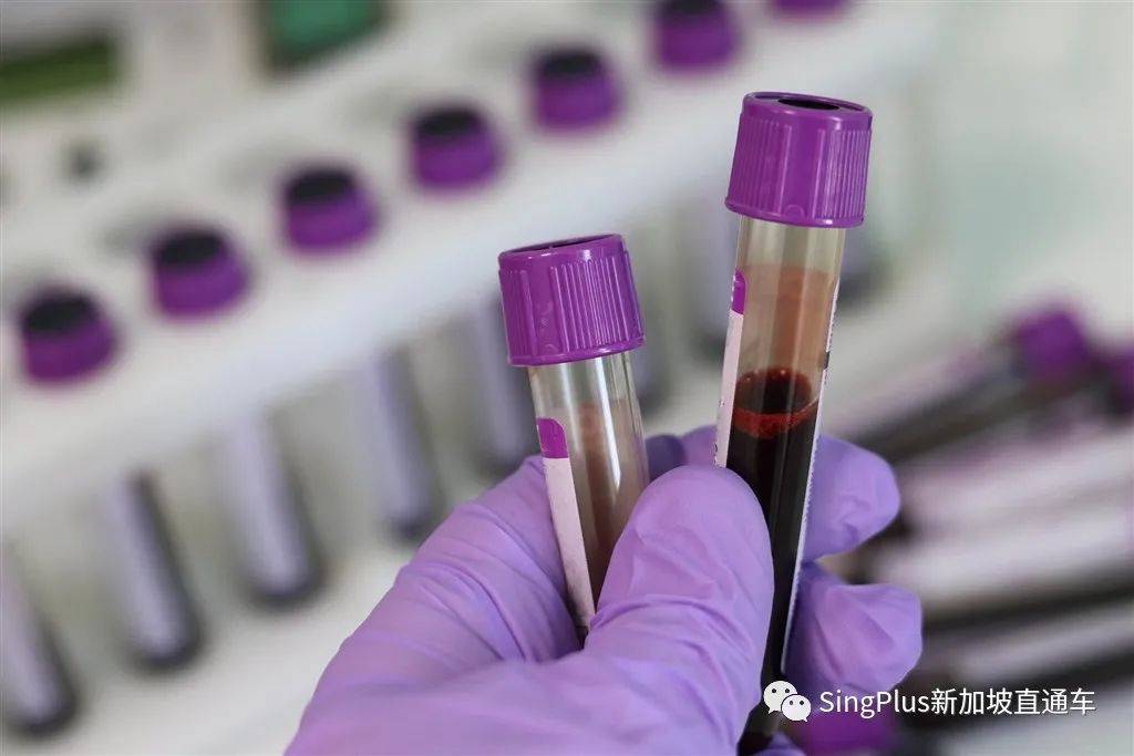 新加坡和中國同步收緊入境政策！出去難，進來更難