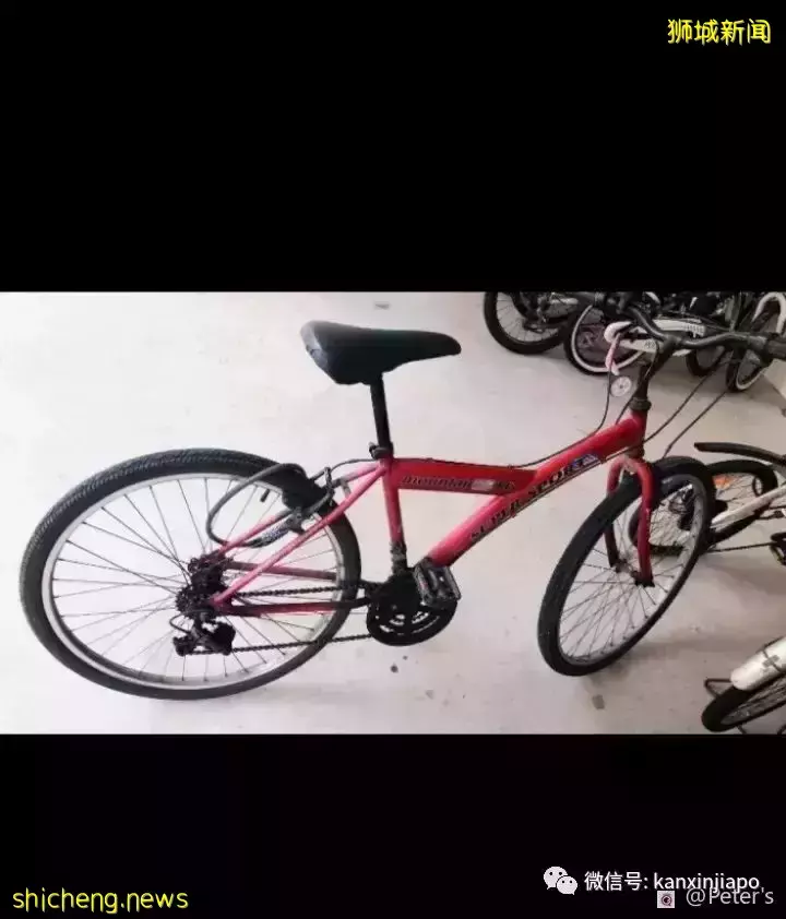 新加坡的“善”与“恶”——有人拾金不昧,有人专偷脚车