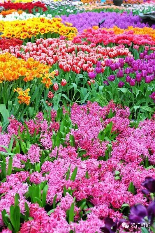 新加坡6天5晚自由行，随心而动