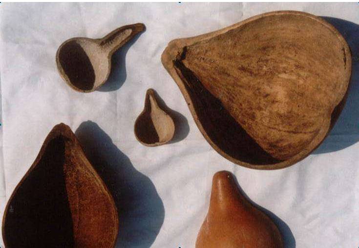 脑袋“开瓢”钉30根钉是神马画风？新加坡大姐姐讲述惨痛经历