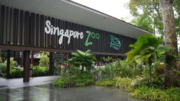 《新加坡的硬道理》：你为什么选择新加坡