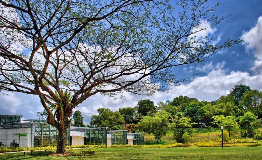 外媒曝海底捞创始人家族,在新加坡壕砸2亿买了个洋房