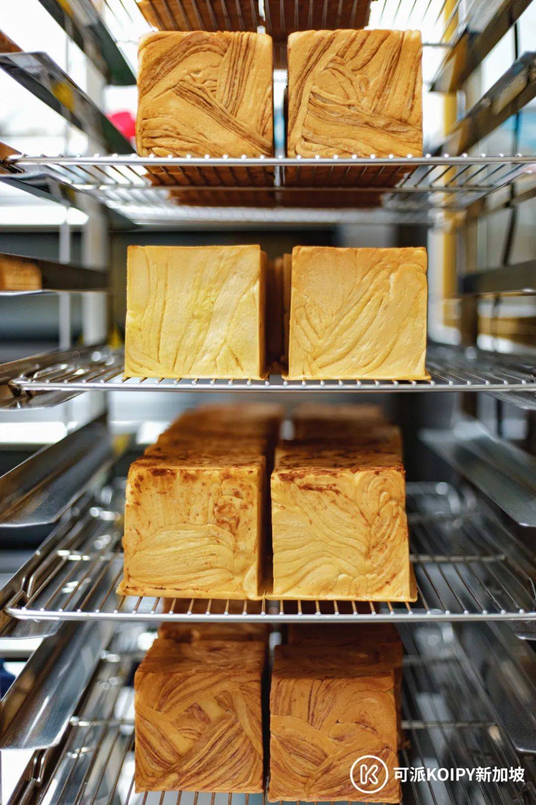 新店開業,老板再加贈送100份!吐司界的愛馬仕新加坡也有了