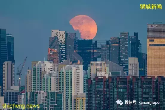 “​草莓月亮”登錄新加坡，今晚8點半以前迎來圓滿時刻