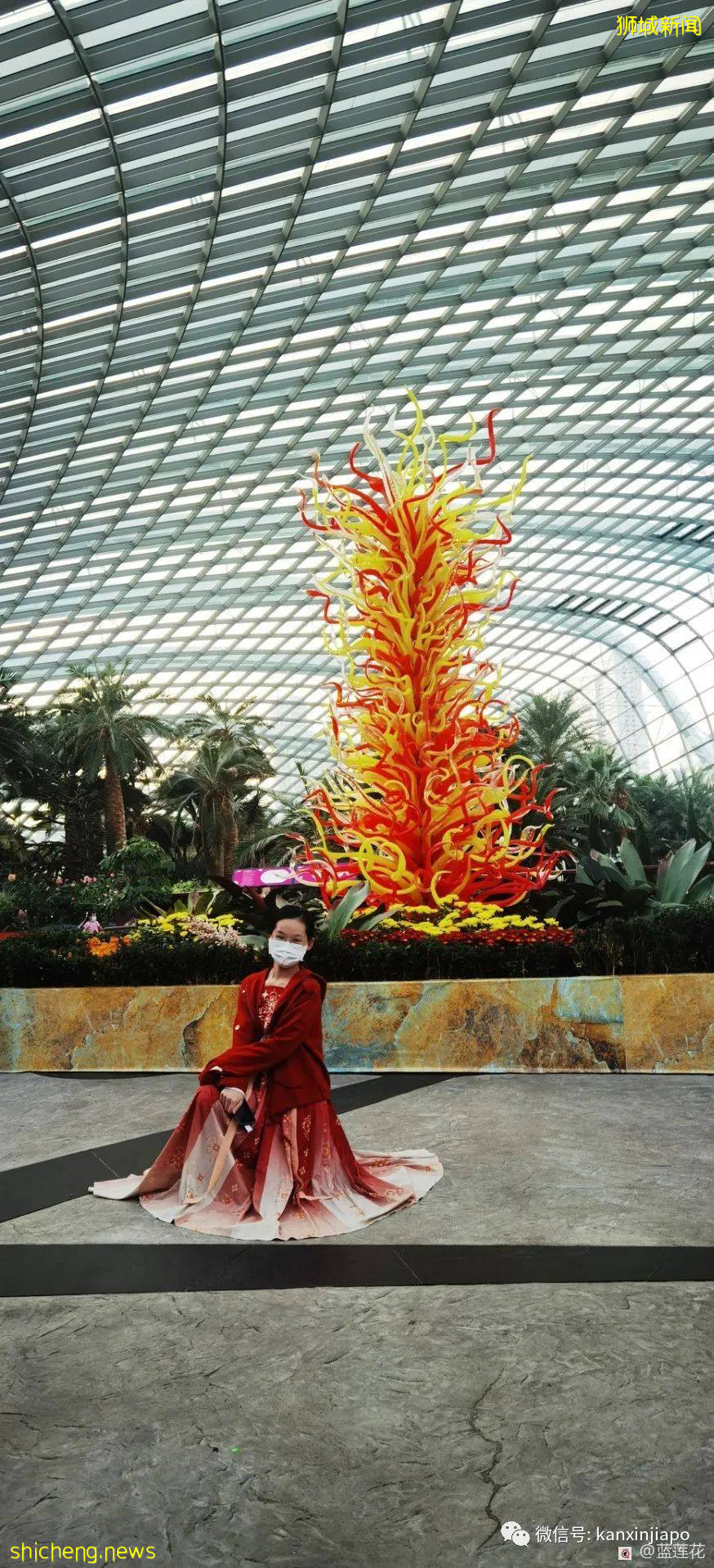 新加坡親子好去處！濱海灣～花穹～雲霧森林～空中步道半日遊