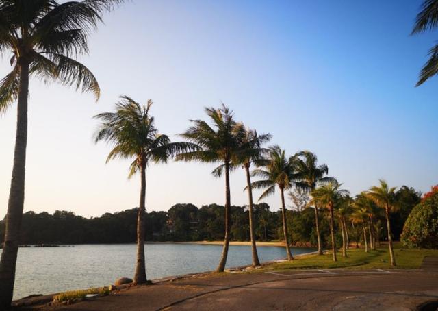 新加坡自由行(八)