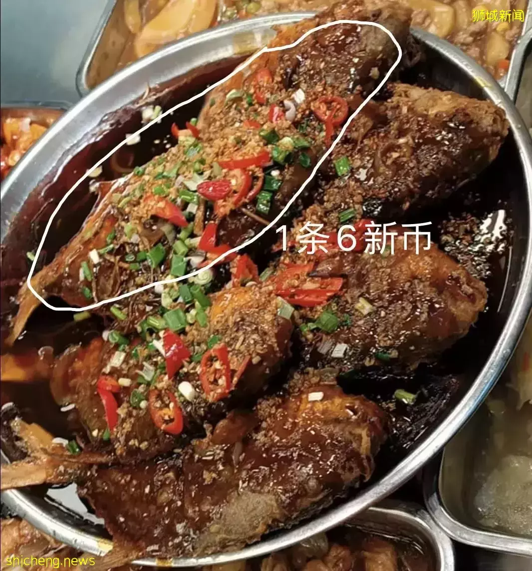网友热议!杂菜饭11新、咖啡店4000万!新加坡物价太魔幻