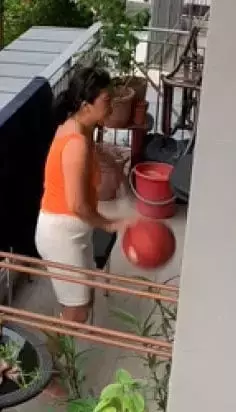 扰邻妇上庭出示脏纸巾 自称“校长、好心帮邻居”