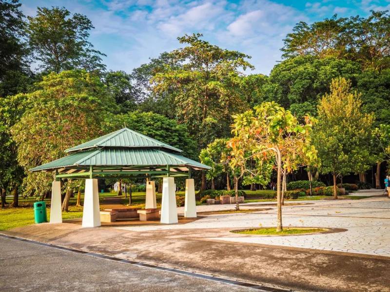 每一張都是 Ins 大片！這樣的新加坡你見過嗎