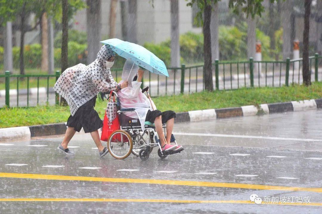爲照護年邁父母,單身人士就得“犧牲”自己的人生