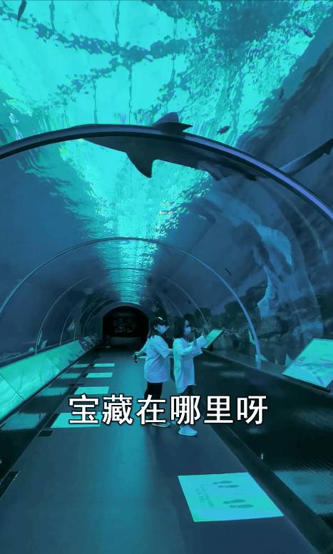 過年必玩!海洋館尋金元寶,環球影城12生肖小黃人激萌拜年