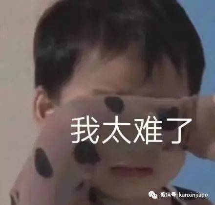 最近新加坡房租涨价了,而且还要排队去争