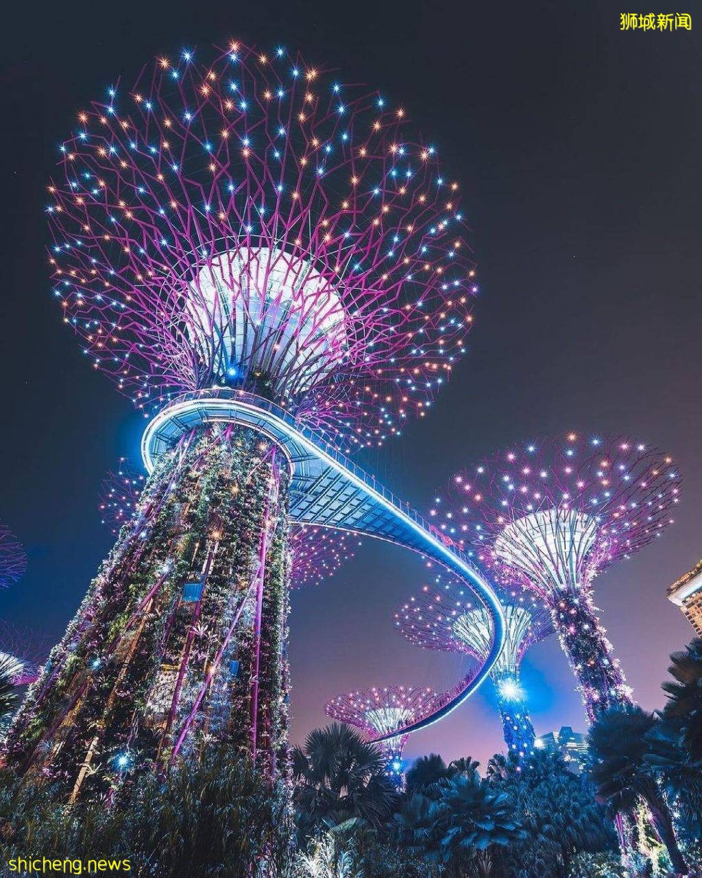 滨海湾花园2021中秋节灯展来了!擎天树挂70多盏悬浮天灯🏮 9月15日起开放,免费入场赏灯🆓