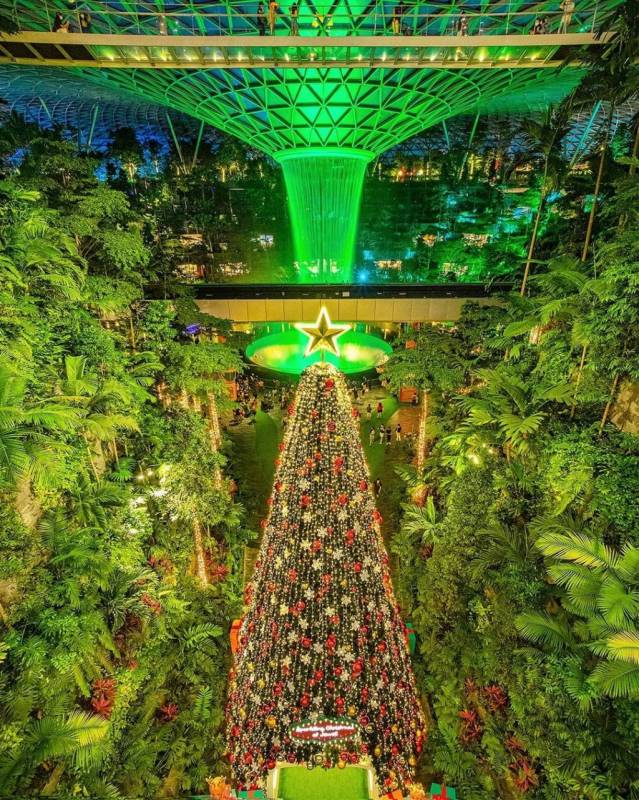 新加坡“年末”吃喝玩樂攻略💪 12月周末這樣玩! 免費打卡點、聖誕跨年好去處、限定美食
