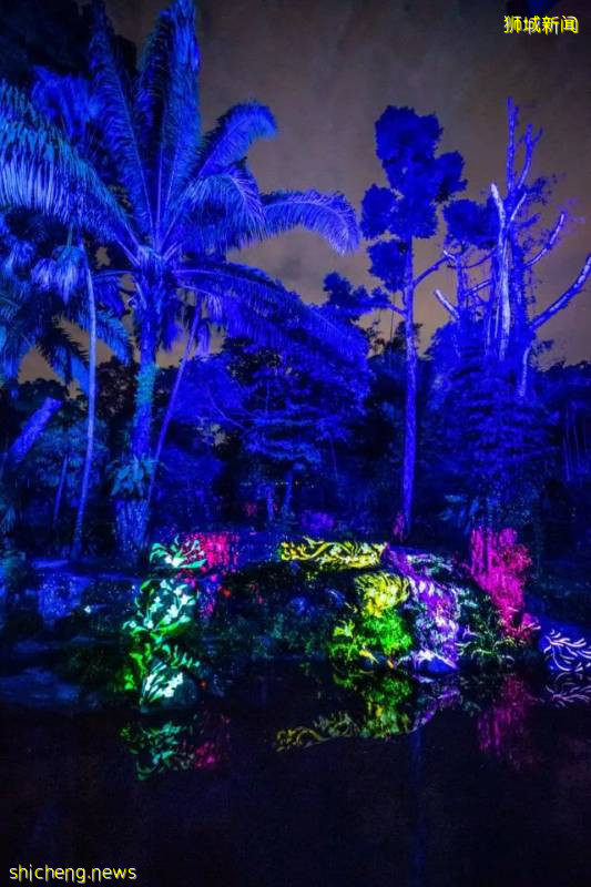 新加坡动物园沉浸式多媒体夜行体验“RAINFOREST LUMINA”｜CAAPA周末分享