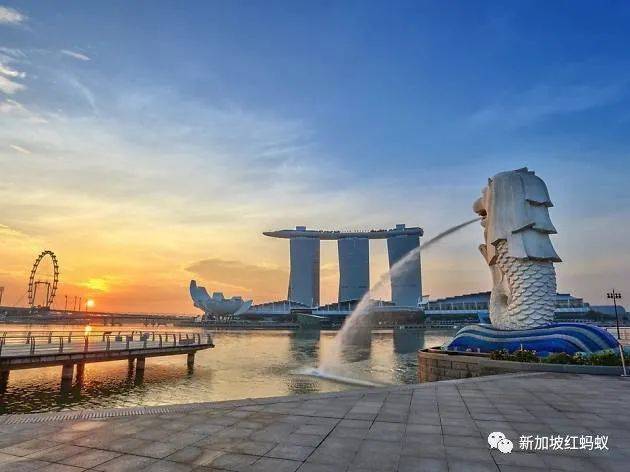 小小的新加坡竟有17個水庫　一個比一個清幽秀麗