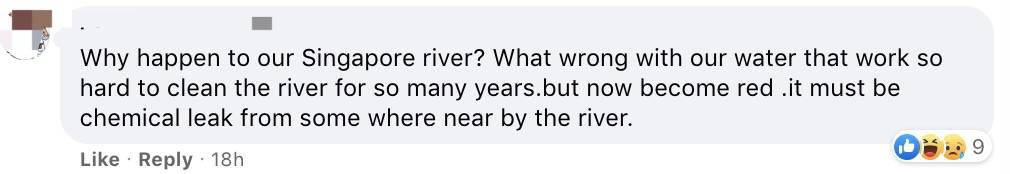 罕見!新加坡聖淘沙這條河變成了粉色,驚現大批死魚!39年創記錄暴雨太作了